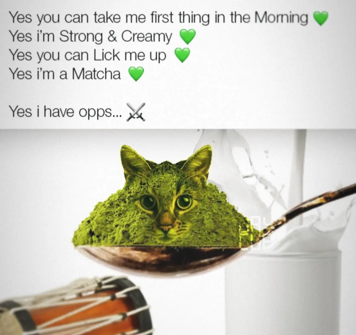 Matcha cat meme... this cat is matcha... yes he has opps...