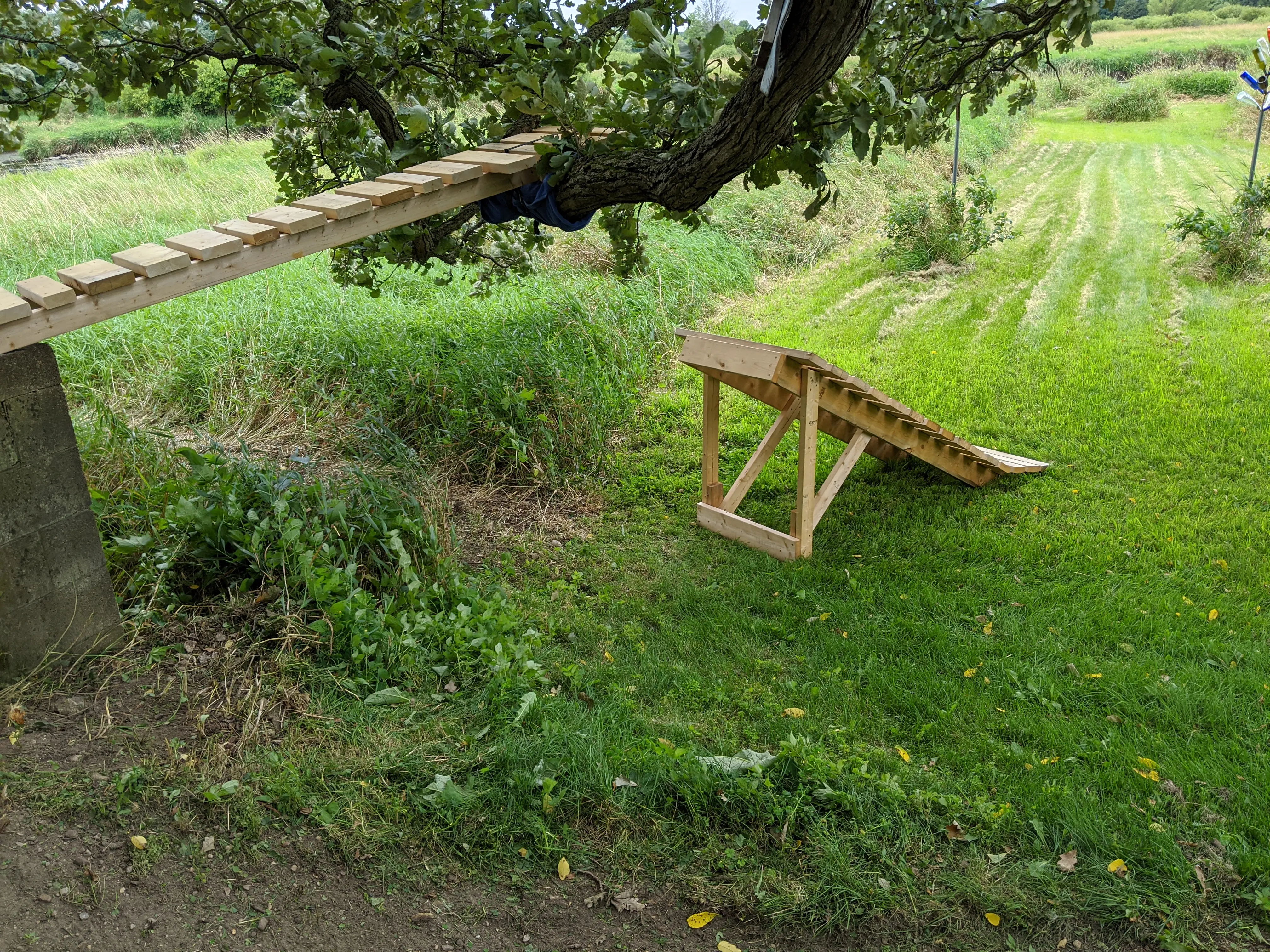 Mountain bike skinny drop built on a tree branch