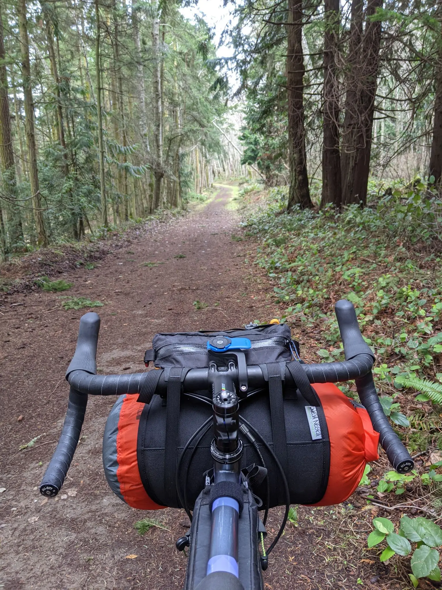 Pickles and Cream - All-City Cosmic Stallion thumbnail 4