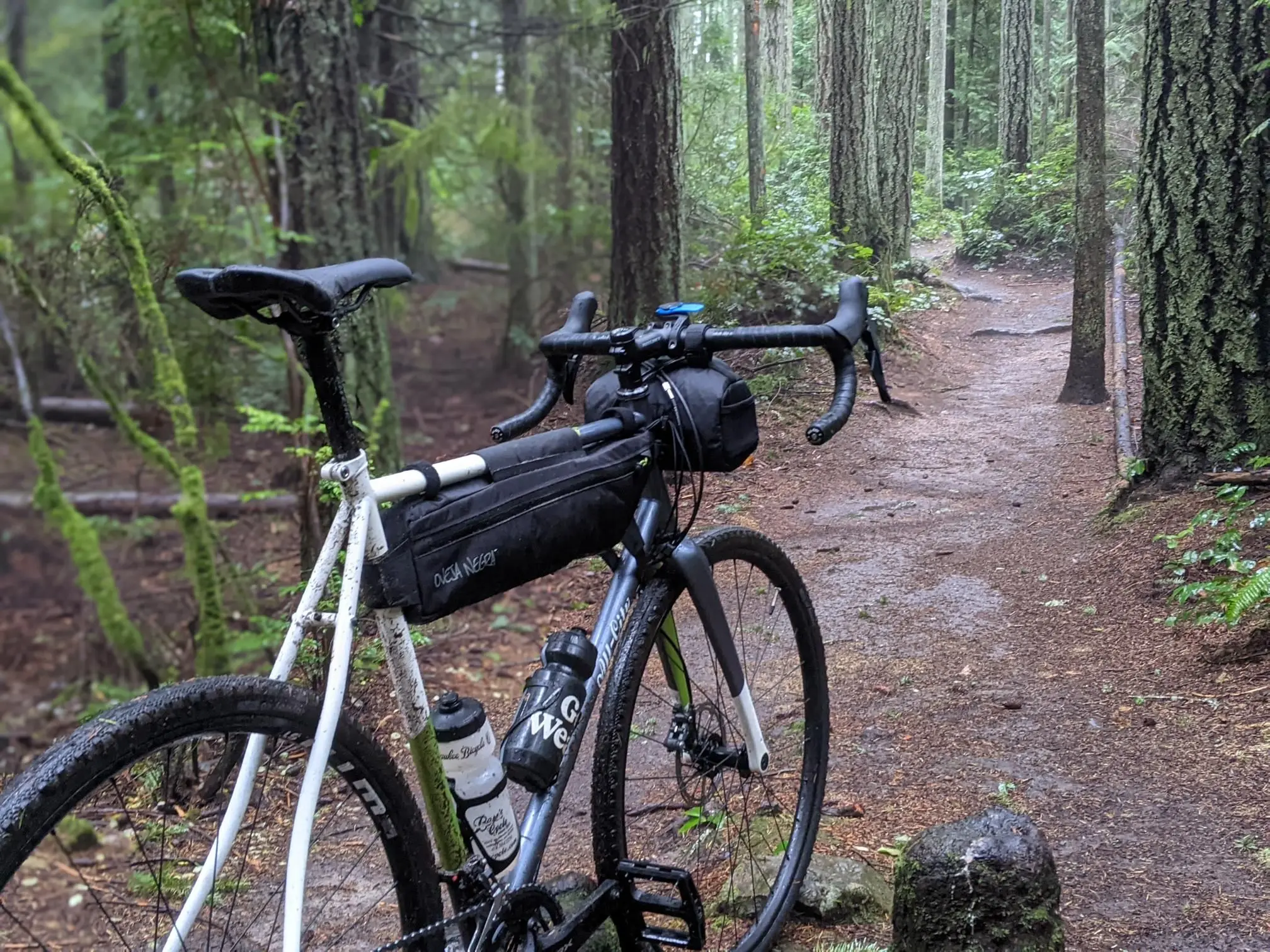 Pickles and Cream in a glamour shot