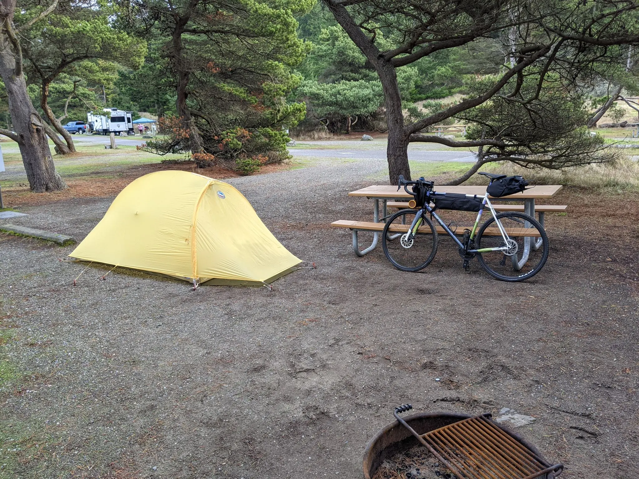 Pickles and Cream - All-City Cosmic Stallion thumbnail 6