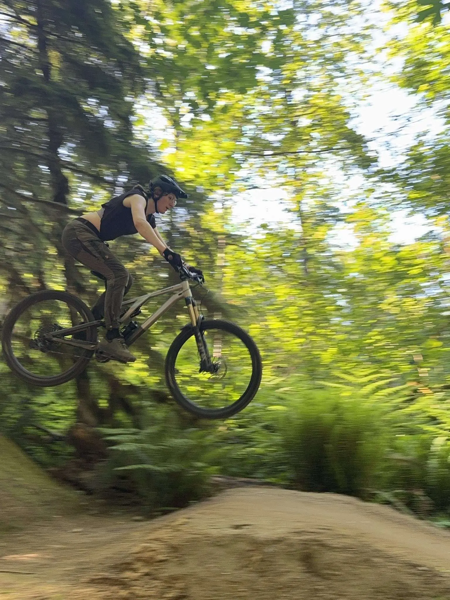 Gap jump feature built for the Gravy Train trail