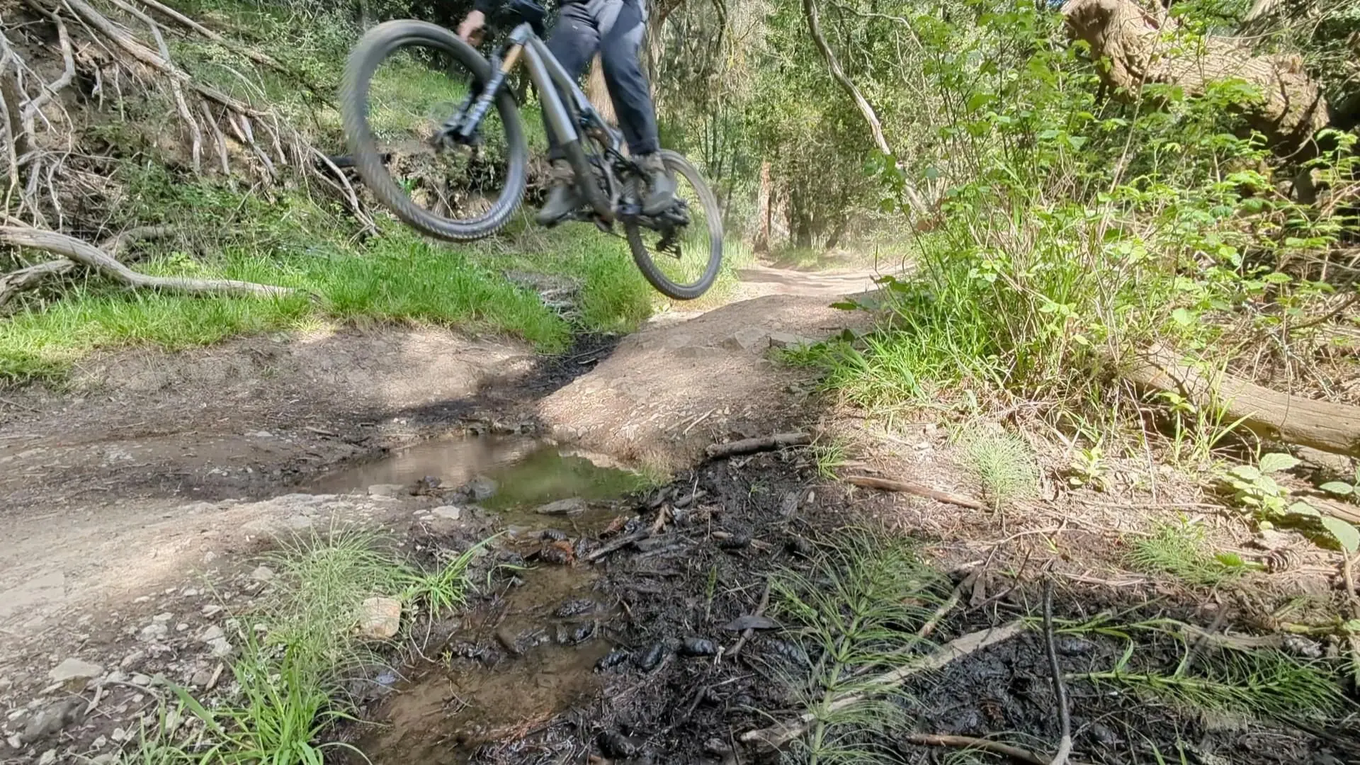 Vice - Specialized Stumpjumper Evo Elite Alloy thumbnail 3