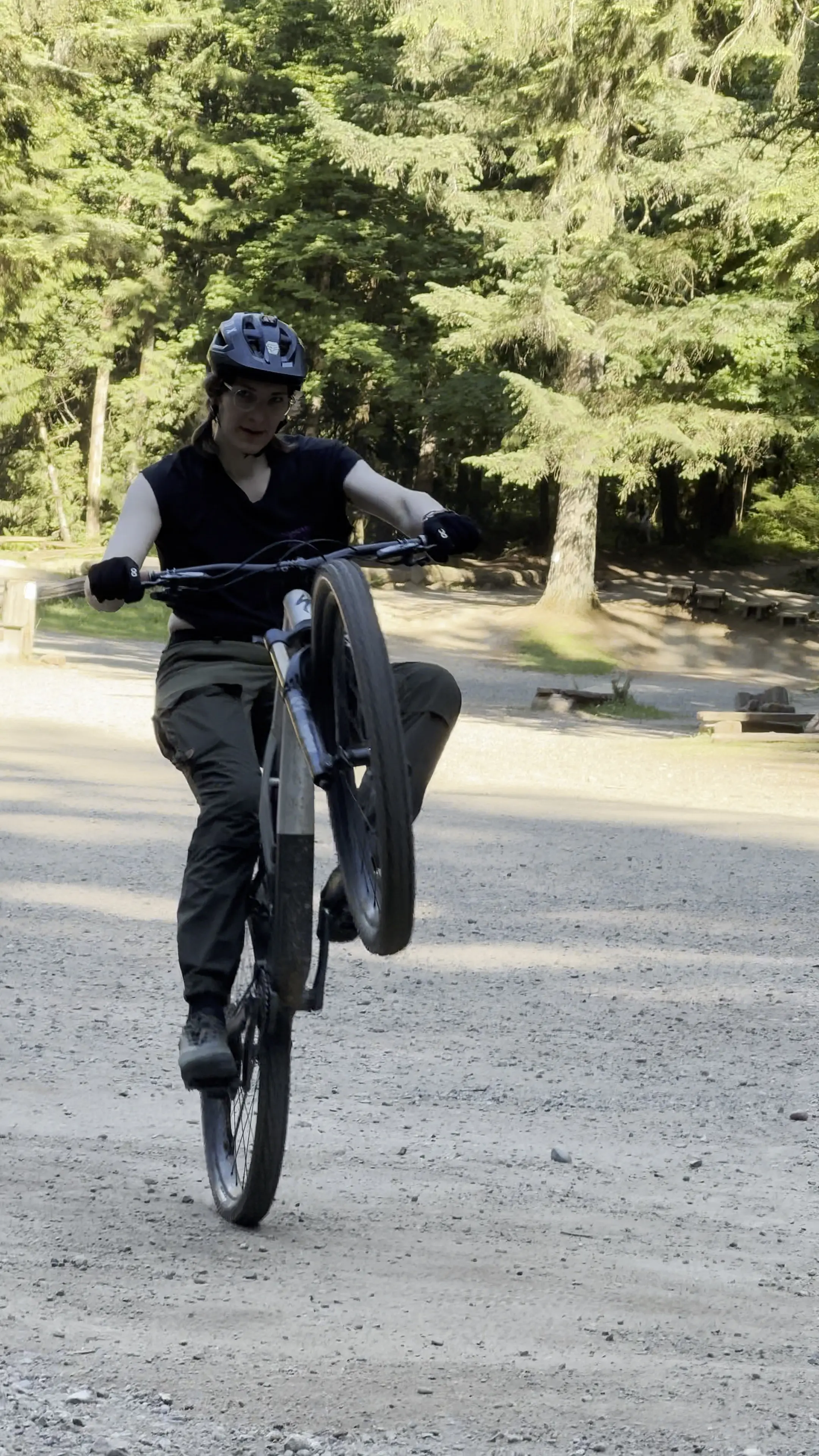 Vice - Specialized Stumpjumper Evo Elite Alloy thumbnail 2