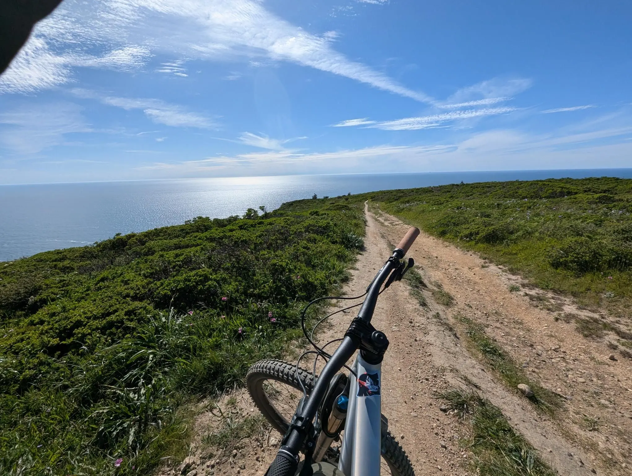 Vice - Specialized Stumpjumper Evo Elite Alloy thumbnail 5